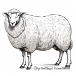 Realistic Suffolk Sheep Coloring Page 2