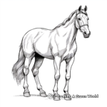 Realistic Thoroughbred Horse Coloring Pages 3