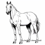 Realistic Thoroughbred Horse Coloring Pages 4