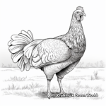Realistic Turkey Farm Animal Coloring Pages 4