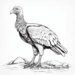 Realistic Turkey Vulture Coloring Pages 1