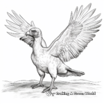 Realistic Turkey Vulture Coloring Pages 4