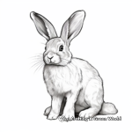 Realistic Wild Hare Coloring Pages 2