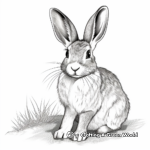 Realistic Wild Hare Coloring Pages 3