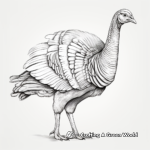 Realistic Wild Turkey Coloring Pages 2