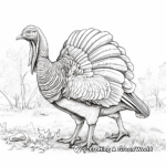 Realistic Wild Turkey Coloring Pages 3