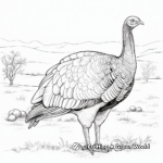Realistic Wild Turkey Coloring Pages for Middle School 1