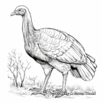 Realistic Wild Turkey Coloring Pages for Middle School 3