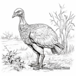 Realistic Wild Turkey Coloring Pages for Middle School 4