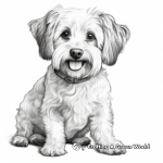 Realistic Yorkie Dog Coloring Pages 2