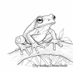 Red-Eyed Tree Frog Coloring Pages for Kids 2
