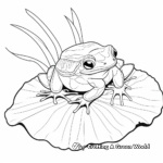 Red Eyed Tree Frog on a Leaf: Coloring Pages 1
