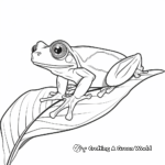 Red Eyed Tree Frog on a Leaf: Coloring Pages 2