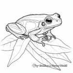 Red Eyed Tree Frog on a Leaf: Coloring Pages 3