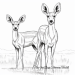 Red-Fronted Gazelle Pair Coloring Pages 1
