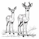 Red-Fronted Gazelle Pair Coloring Pages 3