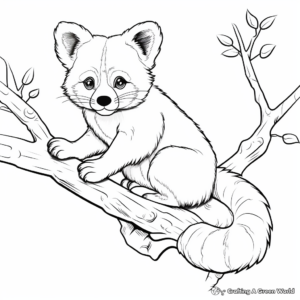 Red Panda in a Tree Coloring Page 1