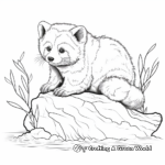 Red Panda in Its Natural Habitat Coloring Pages 2