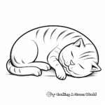 Relaxed Sleeping Cat Coloring Page 4