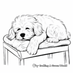 Relaxing Maltese Dog Coloring Pages for Adults 1