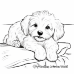 Relaxing Maltese Dog Coloring Pages for Adults 2