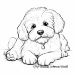 Relaxing Maltese Dog Coloring Pages for Adults 4