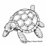 Retro Styled Vintage Turtle Coloring Pages 2