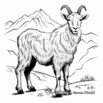 Rocky Mountain Goat Zoo Coloring Pages 4
