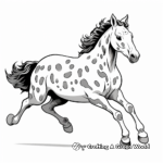 Running Appaloosa Horse Coloring Pages 4