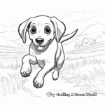 Running Black Lab in Action Coloring Sheets 1