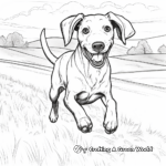 Running Black Lab in Action Coloring Sheets 2