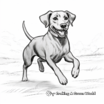 Running Black Lab in Action Coloring Sheets 3