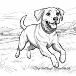 Running Black Lab in Action Coloring Sheets 4
