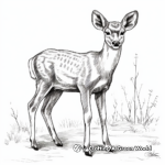 Rustic Deer in Autumn Coloring Pages 1