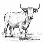 Rustic Texas Longhorn Cow Coloring Pages For Adults 2