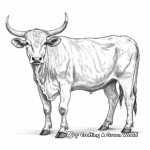 Rustic Texas Longhorn Cow Coloring Pages For Adults 3