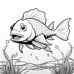 Sablefish also Known as Black Cod Coloring Pages 1