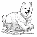 Samoyed Sled Dog Coloring Pages 3