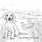 Scenery with Black Lab and Duck Coloring Pages 4