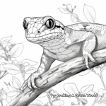 Scenes from the Rainforest: Boa Constrictor Coloring Pages 1