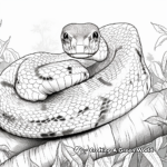 Scenes from the Rainforest: Boa Constrictor Coloring Pages 3