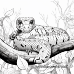 Scenes from the Rainforest: Boa Constrictor Coloring Pages 4