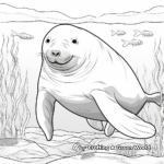 Sea Mammals Coloring Pages: Seals, Manatees, and Walruses 2