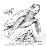 Sea Turtle Family Coloring Pages: Male, Female, and Hatchlings 1