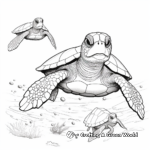 Sea Turtle Family Coloring Pages: Male, Female, and Hatchlings 2
