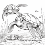 Sea Turtle Family Coloring Pages: Male, Female, and Hatchlings 3