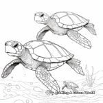 Sea Turtle Family Coloring Pages: Male, Female, and Hatchlings 4