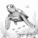 Sea Turtles and Marine Life Coloring Pages for Artists 1