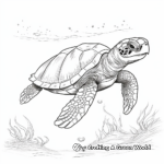 Sea Turtles and Marine Life Coloring Pages for Artists 2