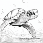 Sea Turtles and Marine Life Coloring Pages for Artists 4